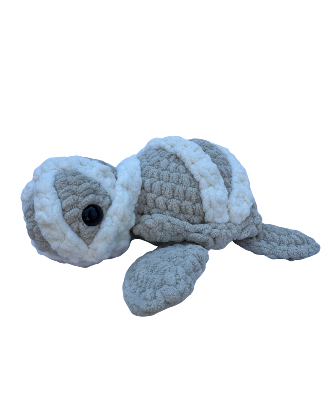 Mummy Turtle