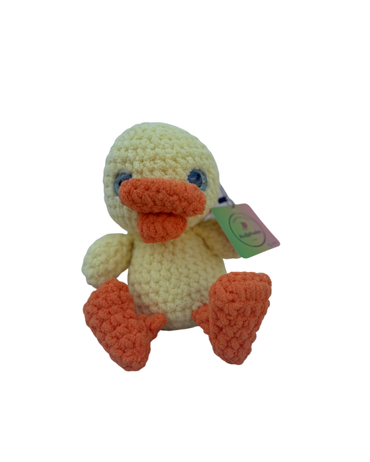 Summer Duck