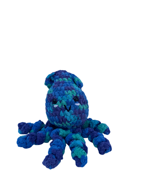 Squid