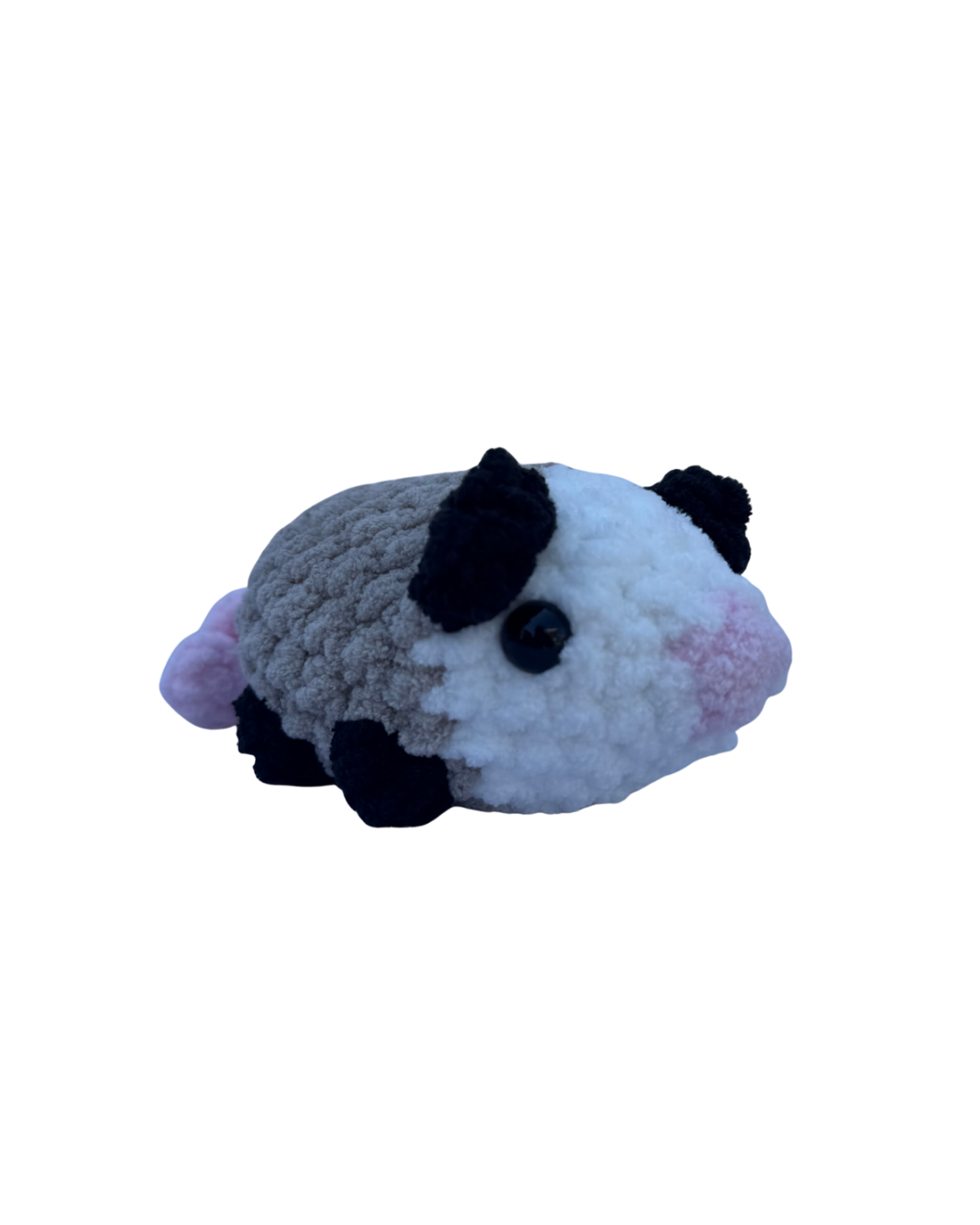 Possum