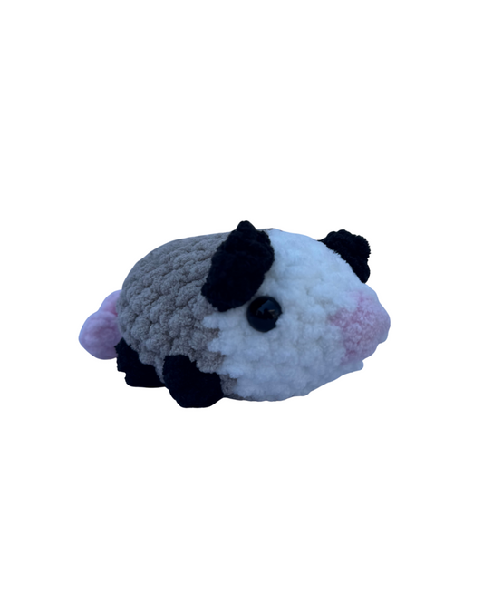 Possum