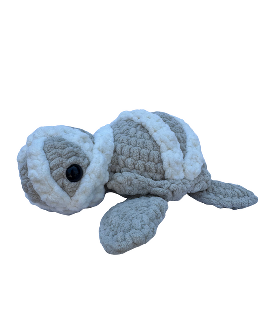 Mummy Turtle