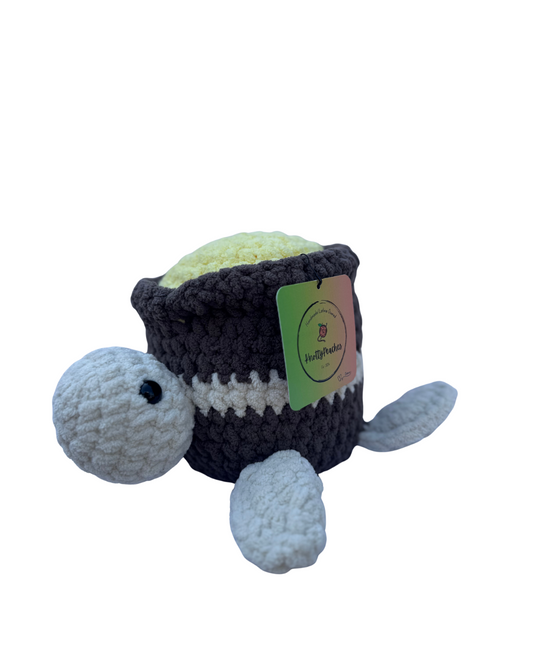 Honey Pot Turtle