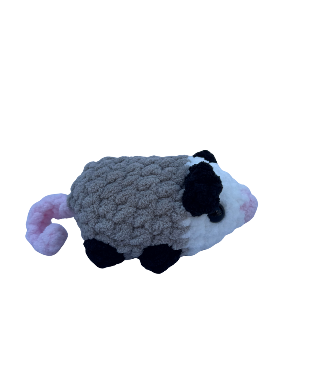 Possum